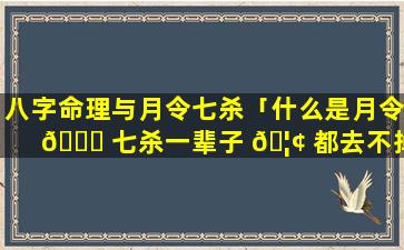 八字命理与月令七杀「什么是月令 🐞 七杀一辈子 🦢 都去不掉么」